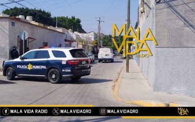 JOVEN JARDINERO MUERE ELECTROCUTADO TRAS ACCIDENTALMENTE HACER CONTACTO CON LOS CABLES DE ENERGIA ELCTRICA MIENTRAS TRABAJABA.