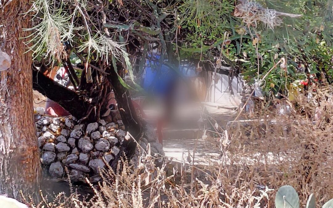 UNA PERSONA FUE DETENIDA TRAS CAUSARLE LA MUERTE A UN PERRITO AL SUSPENDERLO DE UN ÁRBOL.