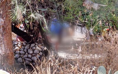 UNA PERSONA FUE DETENIDA TRAS CAUSARLE LA MUERTE A UN PERRITO AL SUSPENDERLO DE UN ÁRBOL.