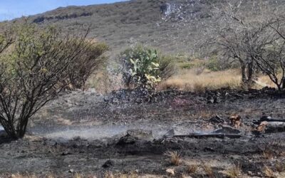 INCENDIO EN LAS FALDAS DEL TANGANO MOVILIZA A CUERPOS DE EMERGENCIAS.