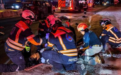 VOLCADURA DEJA UNA PERSONA MUERTA Y DOS MÁS LESIONADAS EN EL MARQUÉS.