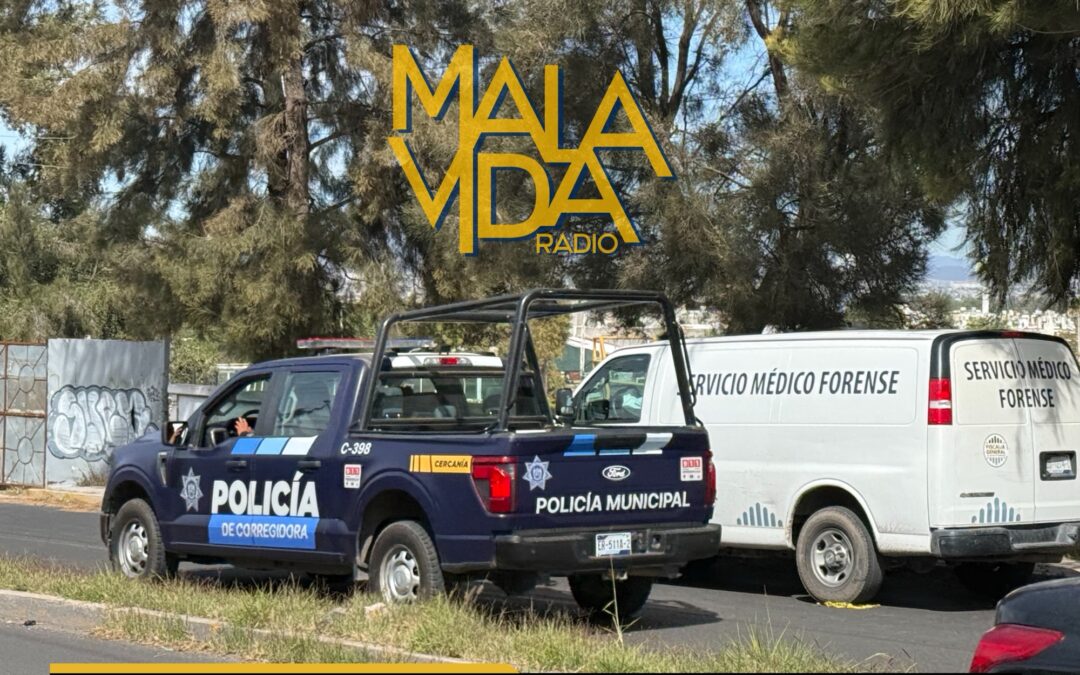LOCALIZAN EL CUERPO SIN VIDA DE UNA PERSONA A UN COSTADO DE EL CAMINO A VANEGAS EN EL MUNICIPIO DE CORREGIDORA.