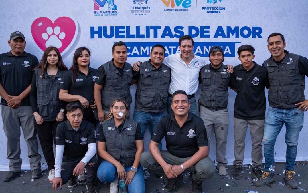 EL MUNICIPIO DE EL MARQUÉS REALIZARÁ DIEZ MIL ESTERILIZACIONES GRATUITAS PARA PERROS Y GATOS.