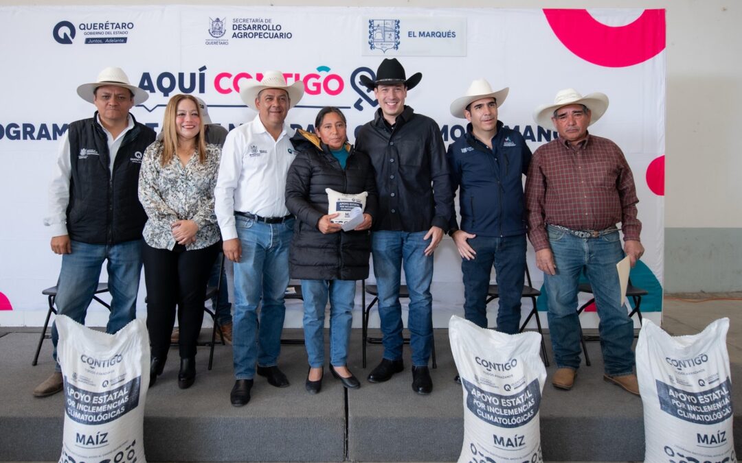 RODRIGO MONSALVO PRESIDENTE MUNICIPAL DE EL MARQUÉS, ENTREGA 479 TONELADAS DE MAÍZ A PRODUCTORES DE LA DEMARCACIÓN.