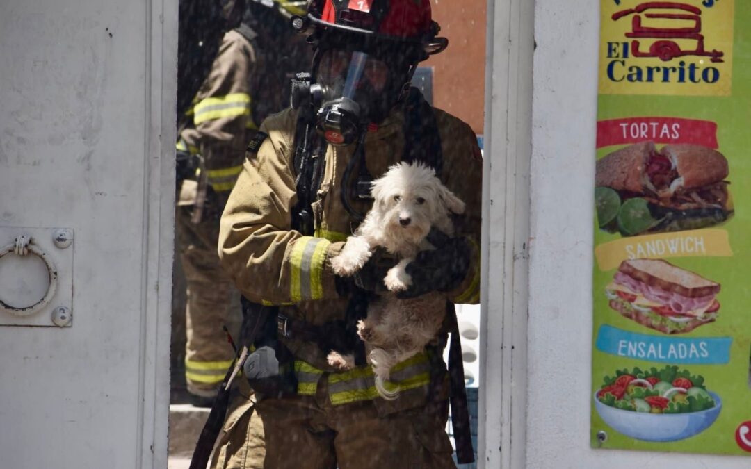 MÁS DE 900 EMERGENCIAS HAN ATENDIDO LOS BOMBEROS DE QUERÉTARO EN LO QUE VA DEL 2026.