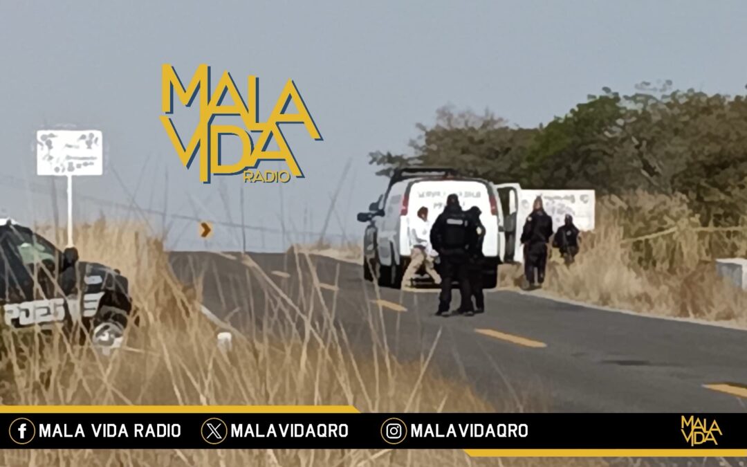 LOCALIZAN EL CUERPO SIN VIDA DE UN HOMBRE EN LA CARRETERA SAN GIL – AMEALCO.