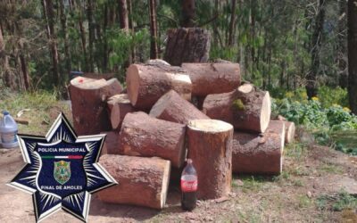 DENUNCIAN TALA CLANDESTINA EN EL MUNICIPIO DE PINAL DE AMOLES.