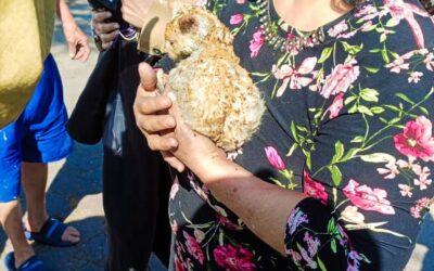 CUERPOS DE EMERGENCIAS CONTROLAN UN FUERTE INCENDIO Y RESCATAN A UN GATITO EN SANTA MÓNICA.