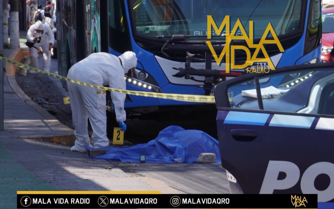 CONTINÚA EL PROCESO LEGAL EN CONTRA DEL CONDUCTOR DE QROBÚS QUE ATROPELLÓ Y CAUSÓ LA MUERTE DE UNA MUJER EN CORREGIDORA.