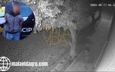 POLICÍAS DE LA SSPMQ ASEGURARÁN AL PRESUNTO DELINCUENTE QUE FUE CAPTADO EN VIDEO ASALTANDO A UN ESTUDIANTE EN LA COL. VILLAS DE SANTIAGO.