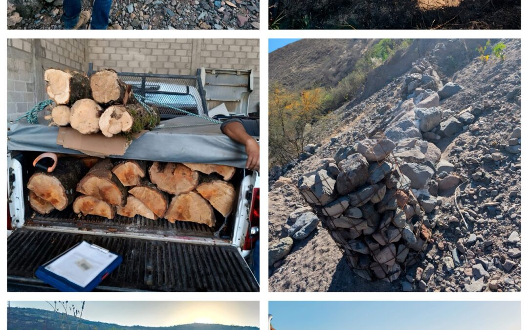 OPERATIVO EN LA SIERRA GORDA DEJA ASEGURAMIENTOS Y CLAUSURAS POR DELITOS AMBIENTALES.