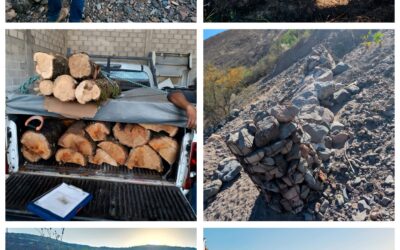 OPERATIVO EN LA SIERRA GORDA DEJA ASEGURAMIENTOS Y CLAUSURAS POR DELITOS AMBIENTALES.