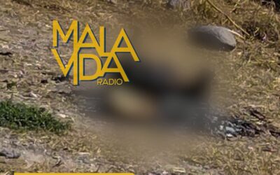 PERRITO MUERE CALCINADO LUEGO DE QUE PERSONAS LE PRENDIERAN FUEGO EN CADERYTA DE MONTES.