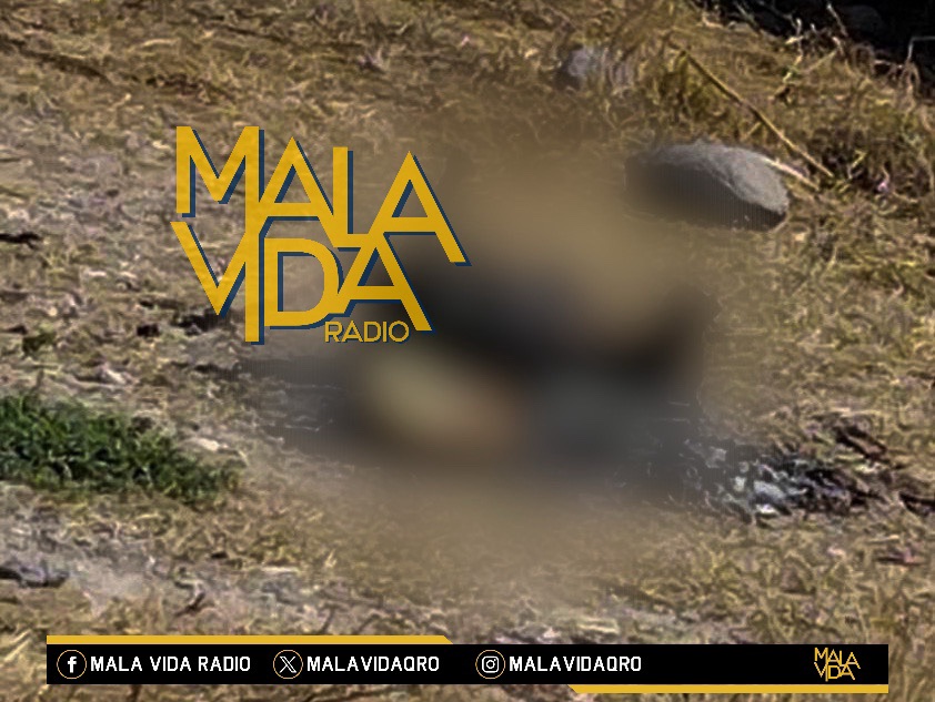 PERRITO MUERE CALCINADO LUEGO DE QUE PERSONAS LE PRENDIERAN FUEGO EN CADERYTA DE MONTES.