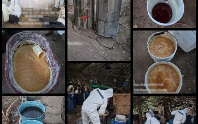 FUERZAS FEDERALES LOCALIZAN Y DESTRUYEN UN “NARCO LABORATORIO” EN SINALOA.