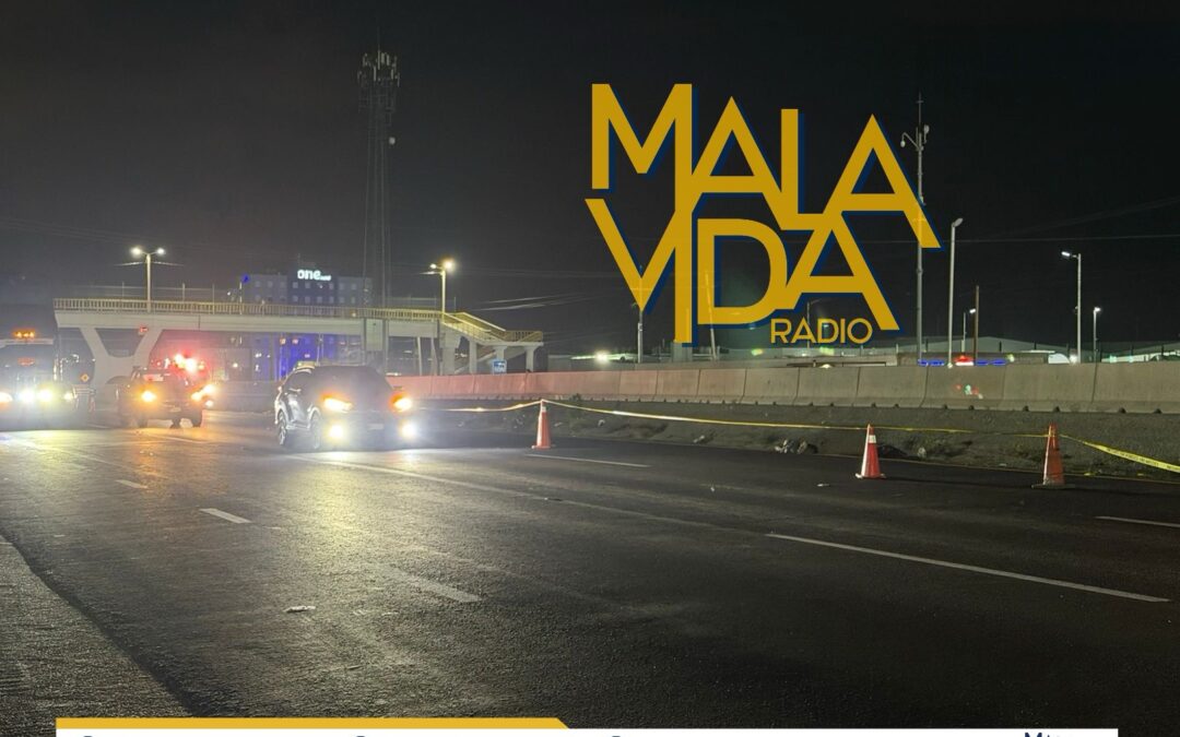 PAREJA MUERE ATROPELLADA CUANDO INTENTARON CRUZAR LA CARRETERA 57 A LA ALTURA DE PALO ALTO, EL MARQUÉS.