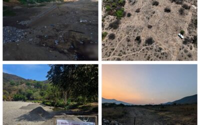 PROFEPA CLAUSURA ACTIVIDADES POR CAMBIO DE USO DE SUELO ILEGAL EN LA RESERVA DE LA BIOSFERA DE LA SIERRA GORDA DE QUERÉTARO.