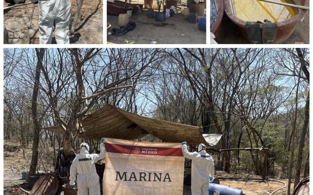 AUTORIDADES FEDERALES LOCALIZAN Y DESTRUYEN UN “NARCO LABORATORIO”