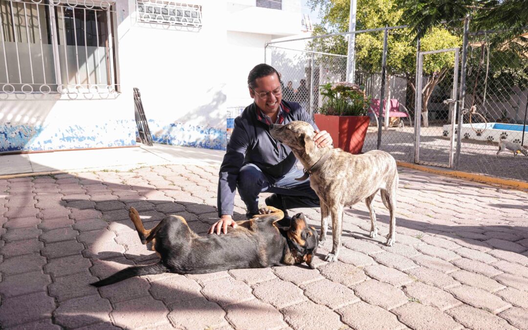 ANUNCIAN LA CONSTRUCCIÓN DE LA PRIMER CLÍNICA VETERINARIA MUNICIPAL EN CORREGIDORA.
