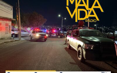 CUATRO PERSONAS MUERTAS POR PROYECTIL DE ARMA DE FUEGO TRAS UNA RIÑA DURANTE UNA PELEA DE GALLOS CLANDESTINA EN EL MUNICIPIO DE CORREGIDORA.