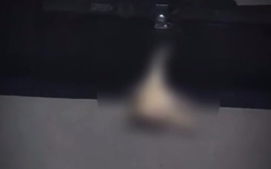 MUNICIPIO DE QUERÉTARO PRESENTA DENUNCIA ANTE LA FGE POR EL CASO DE UN PERRITO ARRASTRADO POR UNA CAMIONETA EN SRJ.