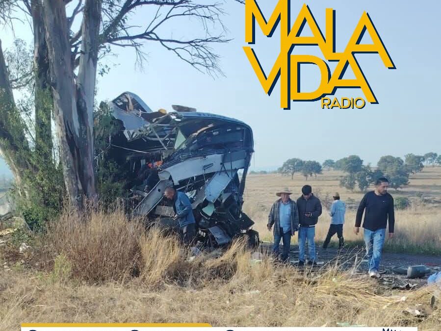 NUEVE PERSONAS PERDIERON LA VIDA LUEGO DE QUE EL CAMIÓN DE PASAJEROS EN EL QUE VIAJABAN CHOCARA CONTRA UN ÁRBOL.