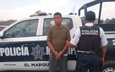ES DETENIDO CON MÁS DE 500 DOSIS DE PRESUNTAS SUSTANCIAS TÓXICAS EN EL MUNICIPIO DE EL MARQUÉS.