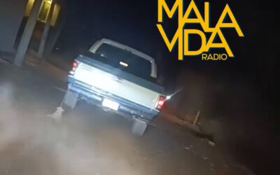 EL IMPA DE EL MARQUÉS REALIZÓ LA DENUNCIA CORRESPONDIENTE ANTE LA FGE, POR UN CASO DE MALTRATO ANIMAL.