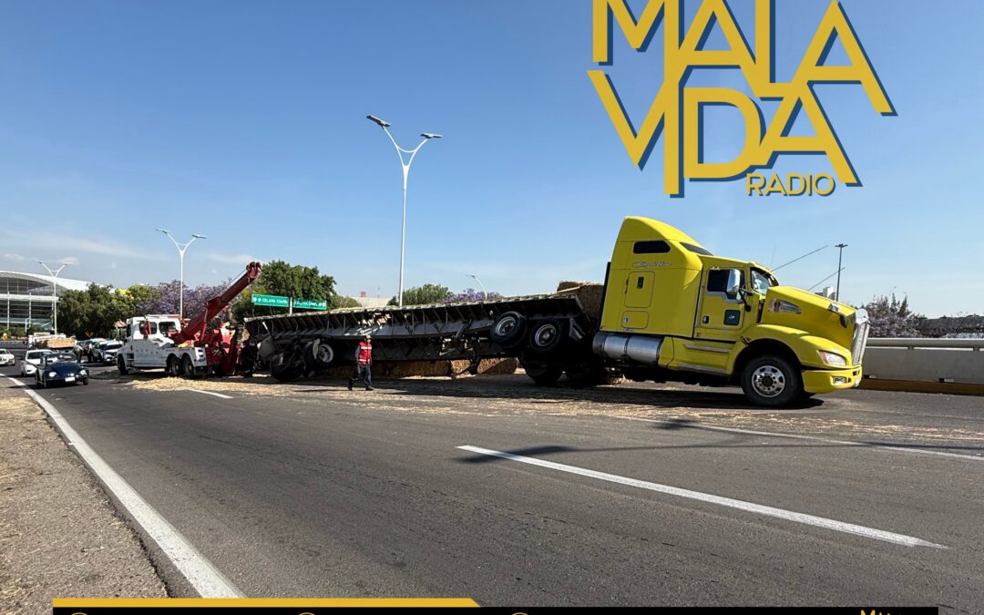FALLA MECÁNICA PROVOCA QUE UN TRACTOCAMIÓN CARGADO CON PAJA VUELCE SOBRE LA CARRETERA CELAYA CUOTA Y DERRAME SU CARGA.