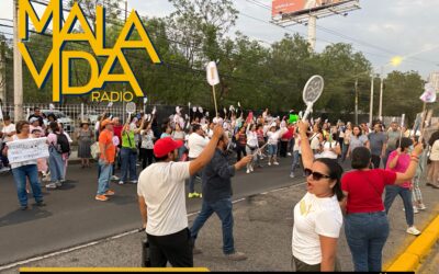 POBLADORES ALEDAÑOS AL PARQUE QUERÉTARO 2000 SE MANIFESTARON PARA EXIGIR A LAS AUTORIDADES UNA SOLUCIÓN A LA PLAGA DE MOSCOS QUE SE REGISTRA EN APROXIMADAMENTE 40 COLONIAS.