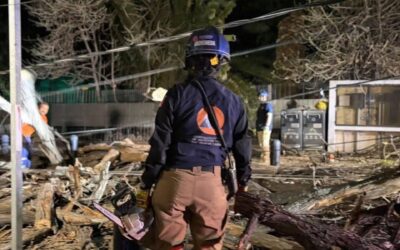 CAE ÁRBOL Y DEJA SIN LUZ A VARIAS ZONAS DE LA COLONIA CENTRO.