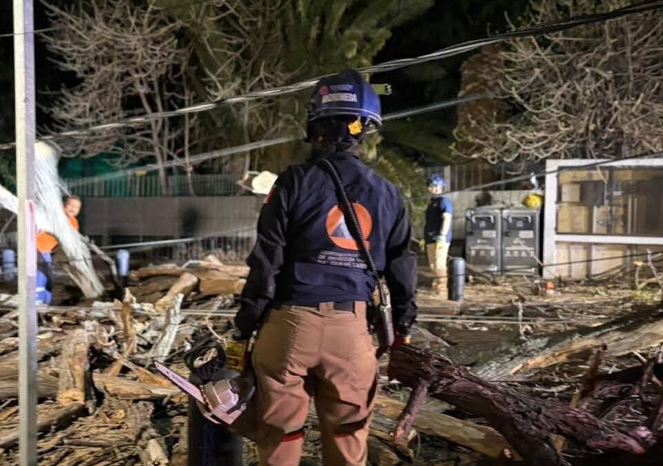 CAE ÁRBOL Y DEJA SIN LUZ A VARIAS ZONAS DE LA COLONIA CENTRO.