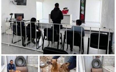 12 MIL PESOS DE MULTA PARA UNA PERSONA QUE TENÍA A DOS CANINOS EN PÉSIMAS CONDICIONES DE VIDA EN EL MARQUÉS.