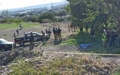 MUERE MENOR DE EDAD TRAS CAER DE UN CABALLO EN CORREGIDORA.