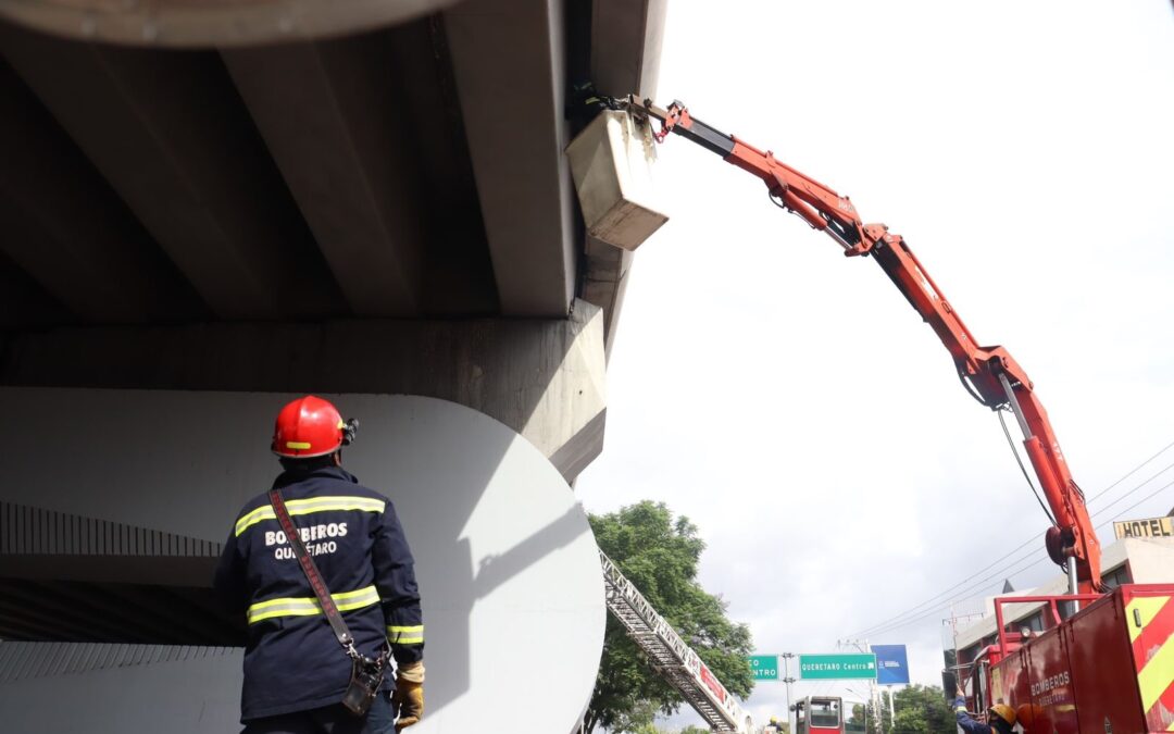 PERSONAL DE BOMBEROS RESCATARON A UN “MICHI” QUE SE ENCONTRABA ATRAPADO EN UN PUENTE VEHICULAR.