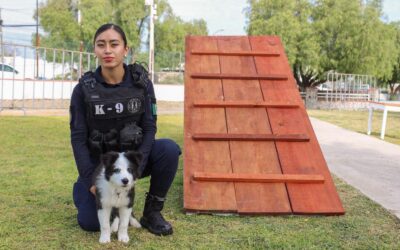 MÁS DE CIEN FAMILIAS PARTICIPARON EN EL CURSO BÁSICO DE ADIESTRAMIENTO CANINO IMPULSADO POR LA SSPM DE CORREGIDORA.