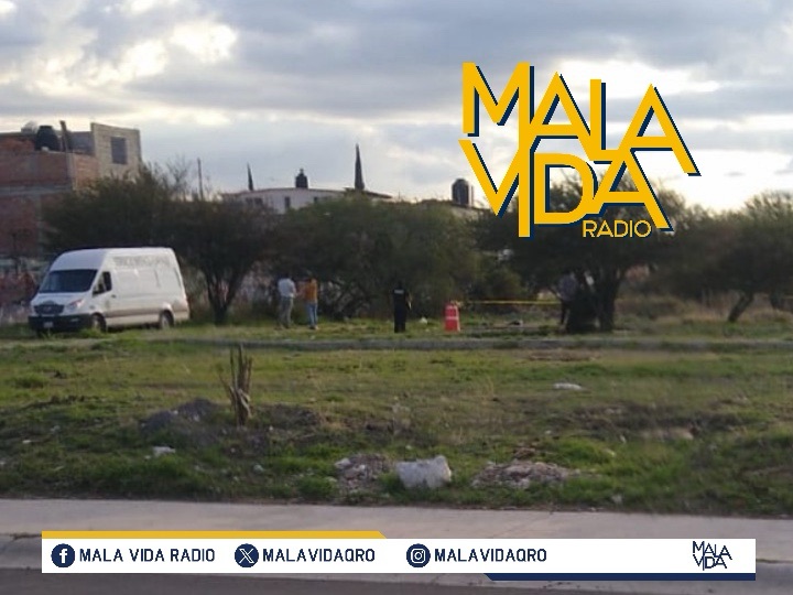 LOCALIZAN PRESUNTOS RESTOS HUMANOS EN UN PREDIO BALDÍO EN LA LOMA.