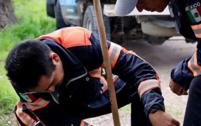 ELEMENTOS DE PC DE EL MARQUÉS RESCATARON A UN CACHORRO DE QUE HABRÍA SIDO ABANDONADO AL INTERIOR DE UN POZO DE AGUA.