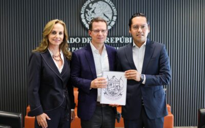 JOSUÉ GUERRERO PRESENTA ANTE EL SENADO Y DIPUTADOS FEDERALES LA INICIATIVA DE LEY SOBRE JUSTICIA PARA MENORES QUE COMETEN DELITOS DE ALTO IMPACTO.