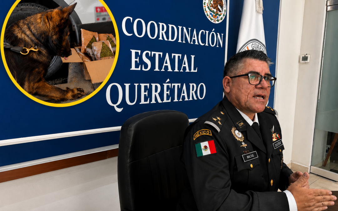 LA GUARDIA NACIONAL ASEGURA MÁS DE 380 KILOS DE DROGA EN EL AEROPUERTO INTERNACIONAL DE QUERÉTARO.