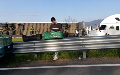 TRÁILER CARGADO CON QUESOS VUELCA SOBRE EL LIBRAMIENTO NORESTE, SE REGISTRÓ “RAPIÑA”.