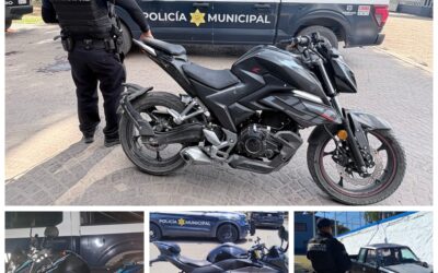 LA SSPMQ RECUPERÓ 388 VEHÍCULOS CON REPORTE DE ROBO EN EL PRIMER SEMESTRE DEL AÑO 2026.