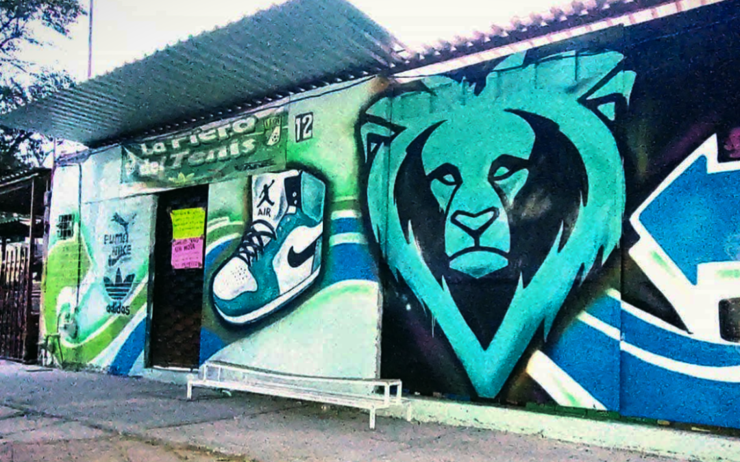 LA FGR REALIZA CATEO POR LA PRESUNTA VENTA DE MERCANCÍA PIRATA EN LA COLONIA OBRERA.
