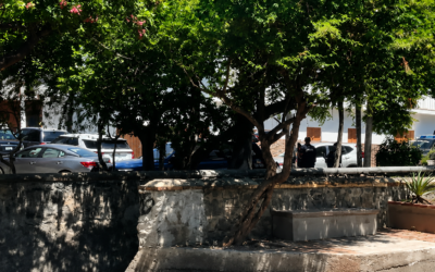 FGE REALIZA DILIGENCIAS DE CATEO EN SAN PEDRITO PEÑUELAS.