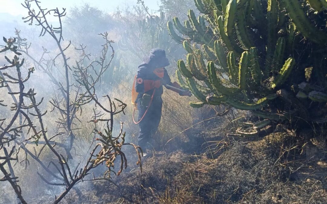 SOFOCAN INCENDIO EN ZONA CERRIL DEL MUNICIPIO DE TOLIMÁN.