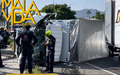 CAMIÓN CARGADO CON POLLO VUELCA CUANDO CIRCULABA POR AVENIDA DEL PARQUE.