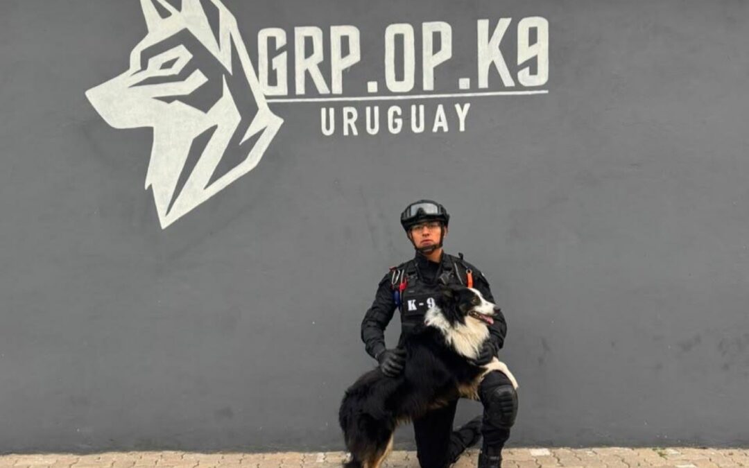 POLICÍA DE CORREGIDORA OBTIENE CERTIFICACIÓN INTERNACIONAL DE BÚSQUEDA Y RESCATE DE PERSONAS.