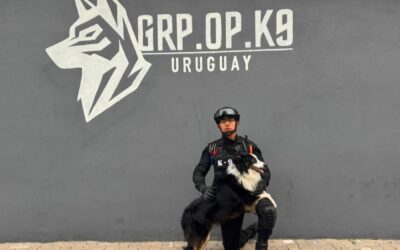 POLICÍA DE CORREGIDORA OBTIENE CERTIFICACIÓN INTERNACIONAL DE BÚSQUEDA Y RESCATE DE PERSONAS.