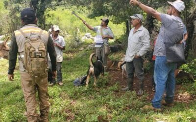 CONTINÚA LA BÚSQUEDA DE UN JOVEN REPORTADO COMO DESAPARECIDO EN EL MUNICIPIO DE PINAL DE AMOLES.