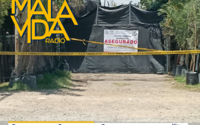 FGR REALIZA CATEO EN UN INVERNADERO EN SJR POR PRESUNTOS DELITOS CONTRA LA SALUD.
